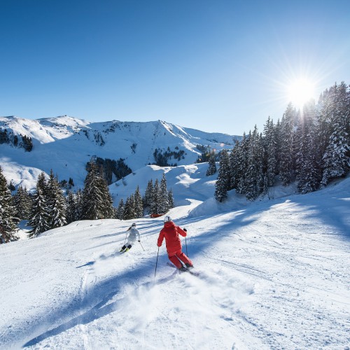 Skiën