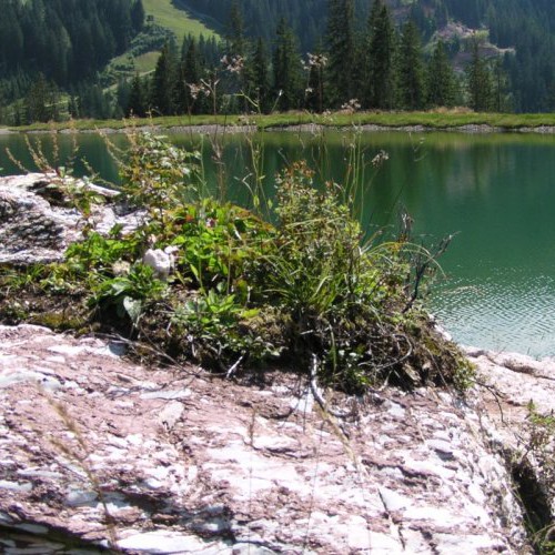 Schwarzsee meer