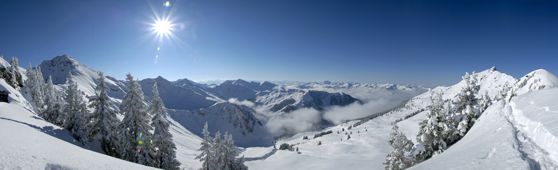 winter panorama